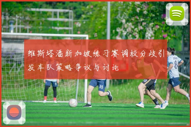维斯塔潘新加坡练习赛调校分歧引发车队策略争议与讨论